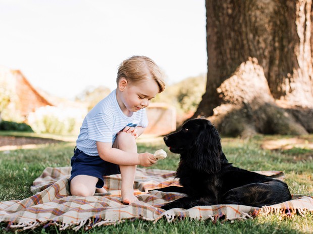 Príncipe George completa 3 anos de idade; veja as fotos da realeza britânica