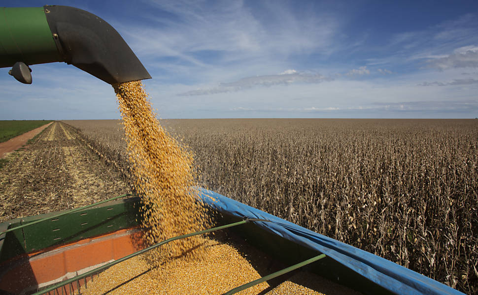 Governo revisa regras e lança plano para reduzir burocracia para agronegócio