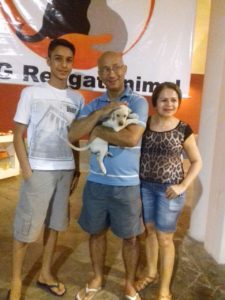 Apenas em uma das edições foram adotados cerca de 19 animais incluindo cães e gatos (1)