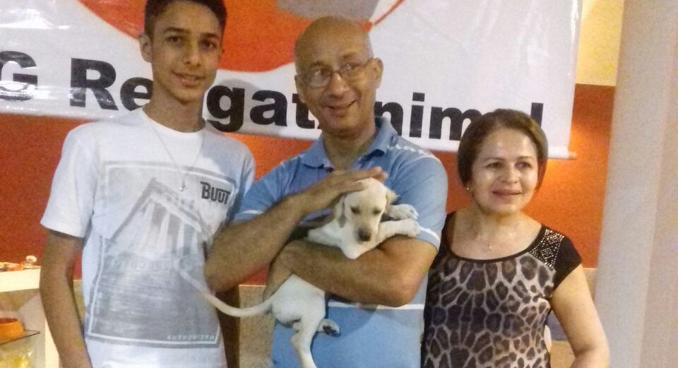 Campanha ‘Adotar é o Bicho’ ajuda animais abandonados a achar novos lares