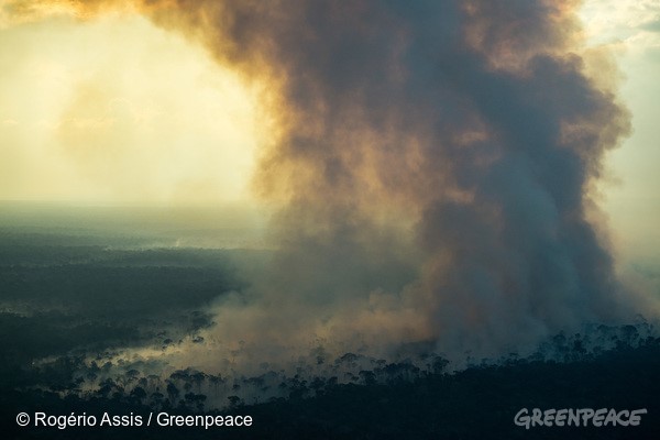 Greenpeace: “Estamos prestes a presenciar a pior temporada de queimadas e incêndios do país”
