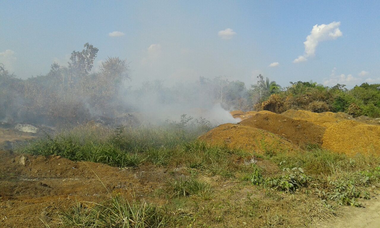 Moradores de Plácido sofrem com fumaça causada por incineração