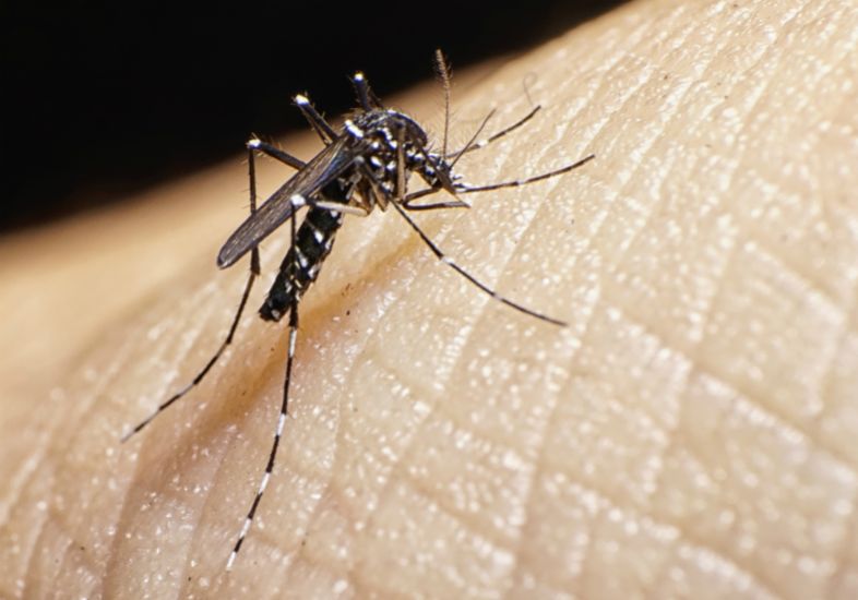 Boletim aponta redução de casos de Dengue e Chikungunya no AC