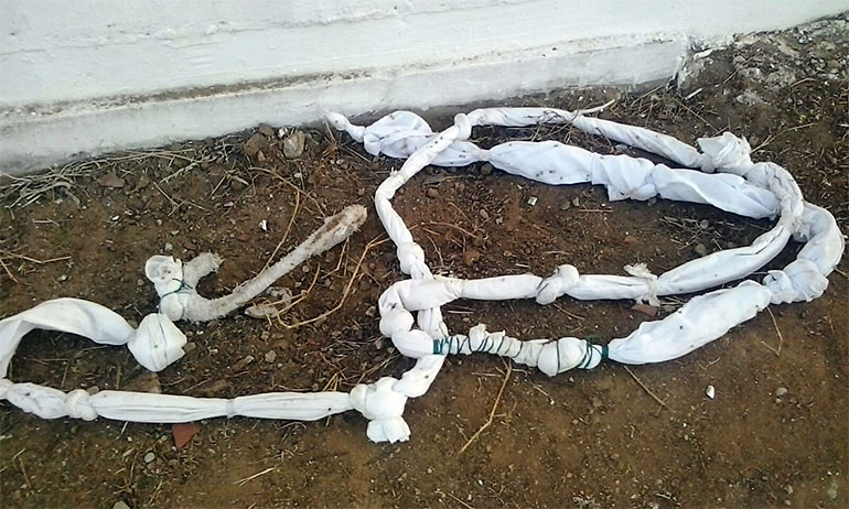 Detentas cavam buraco e usam lençóis para fugir de presídio Francisco de Oliveira Conde