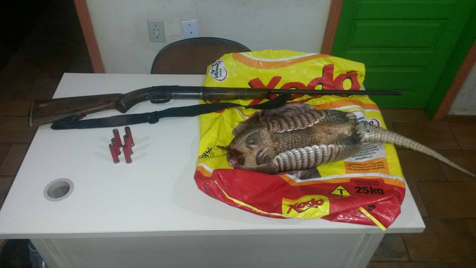 Polícia prende homem com arma de fogo acusado de matar tatu no Bujari