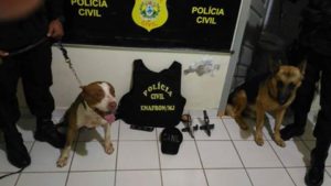 14494697_954260721369343_2628601664380832195_n