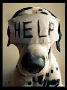 help