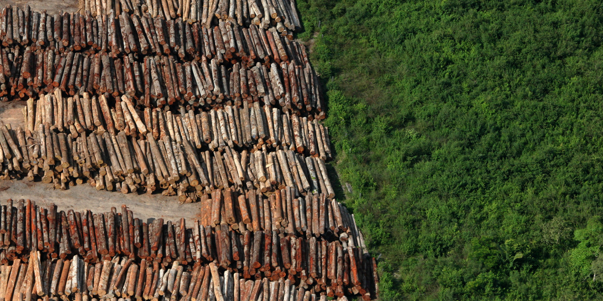 Instituto aponta aumento de 41% no desmatamento na Amazônia