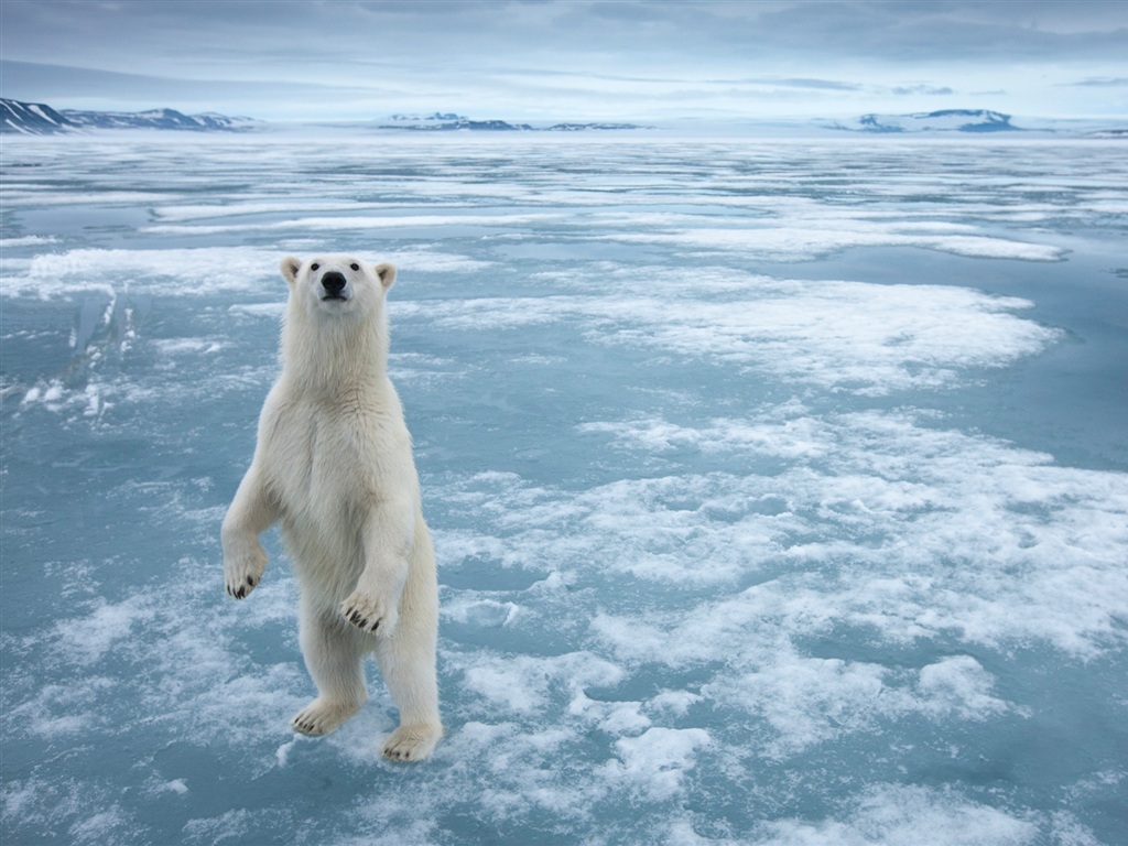 Friale anuncia chegada de frio polar com temporais e baixas temperaturas nesta quinta