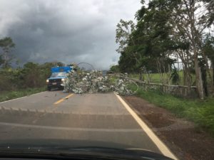 whatsapp-image-2016-10-06-at-14-32-59-1