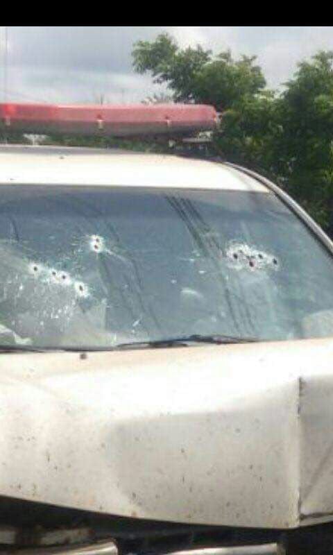 whatsapp-image-2016-10-25-at-17-08-14