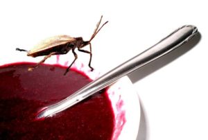 barbeiro-e-acai
