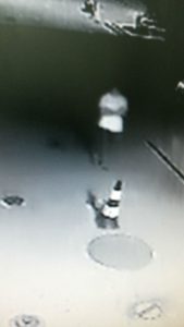 15032413_1809959029244896_491858014_n