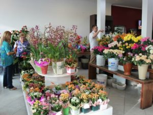 whatsapp-image-2016-11-01-at-12-16-45-1