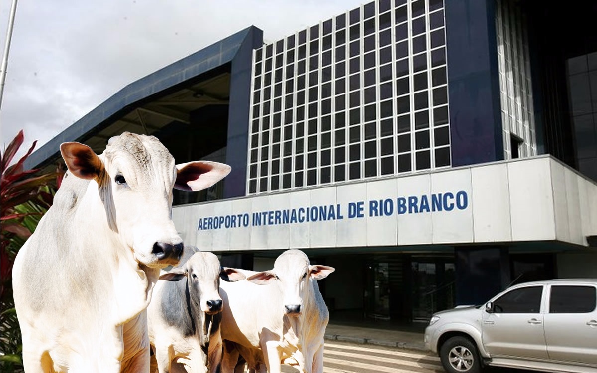 MPAC investiga IDAF por suposto pagamento irregular de diárias para servidores