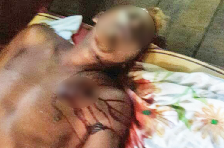 senaonline_cidadenovaa