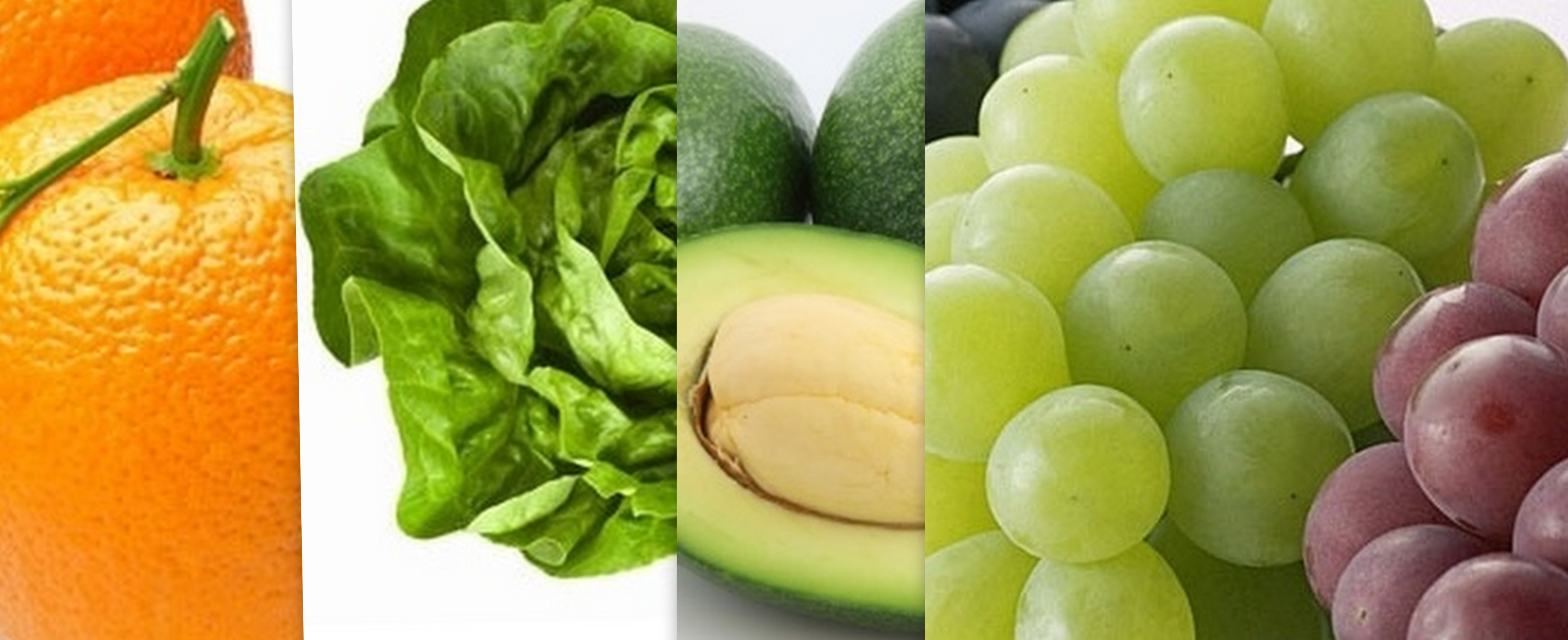 Quer um 2017 calminho? 18 alimentos bons para os estressados