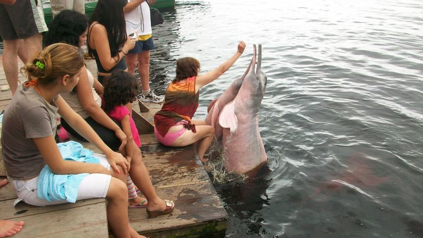 Meio Ambiente: ecoturismo é opção para o Amazonas