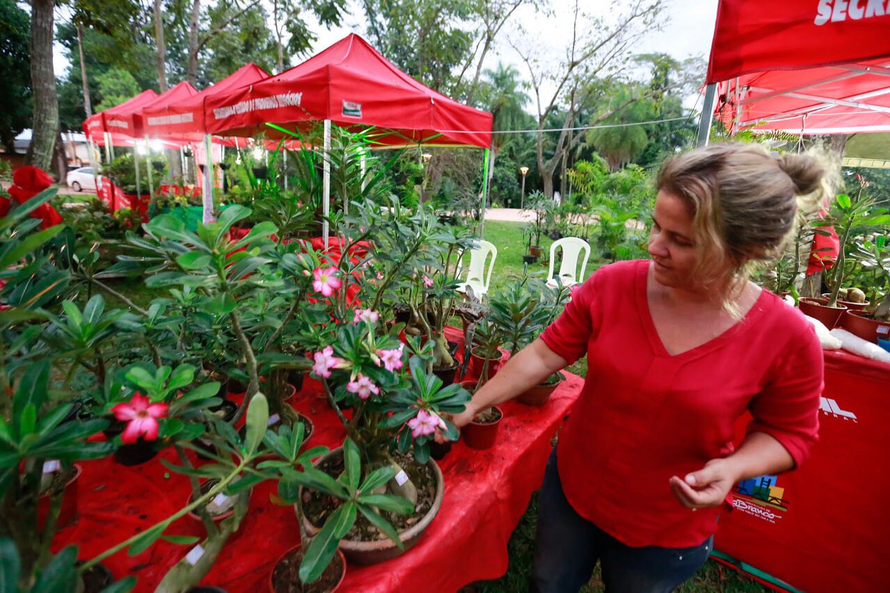 Feira Ecoflores mostra resultados positivos e vai até este domingo no Horto Florestal