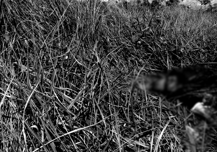 Moradores da Cidade do Povo encontram corpo decapitado em matagal
