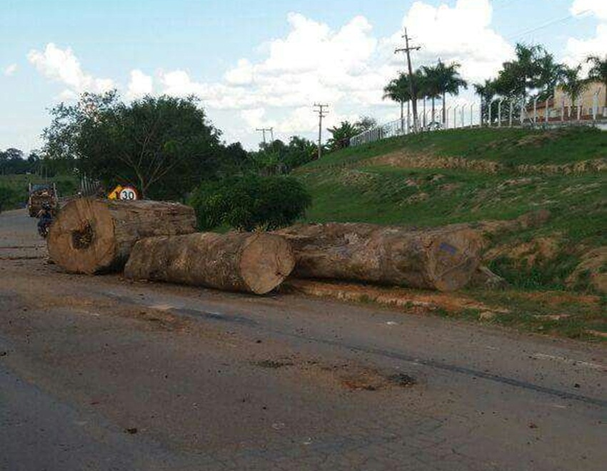 Toras de madeira caem de cima de caminhão enquanto trafegava na BR-364