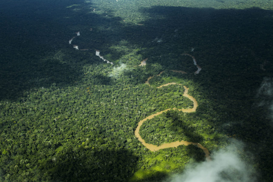 Governo e Ibama lançam Operação Floresta Viva nesta sexta
