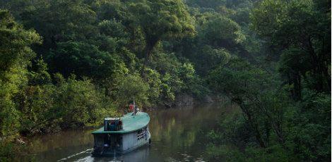 Ambientalistas temem que situação na Amazônia fuja do controle