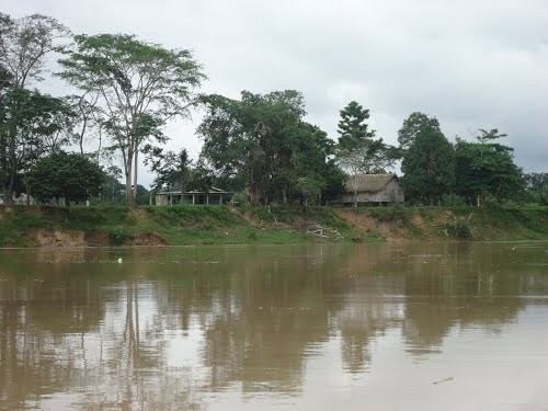 Na zona rural de Sena, assaltantes rendem moradores para roubar motosserra e um rifle