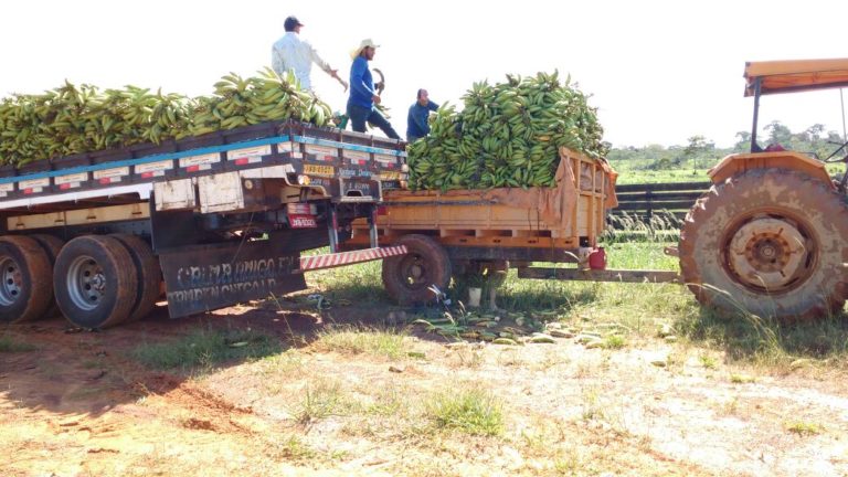 Acrelândia receberá implantação de áreas de controle de risco de pragas