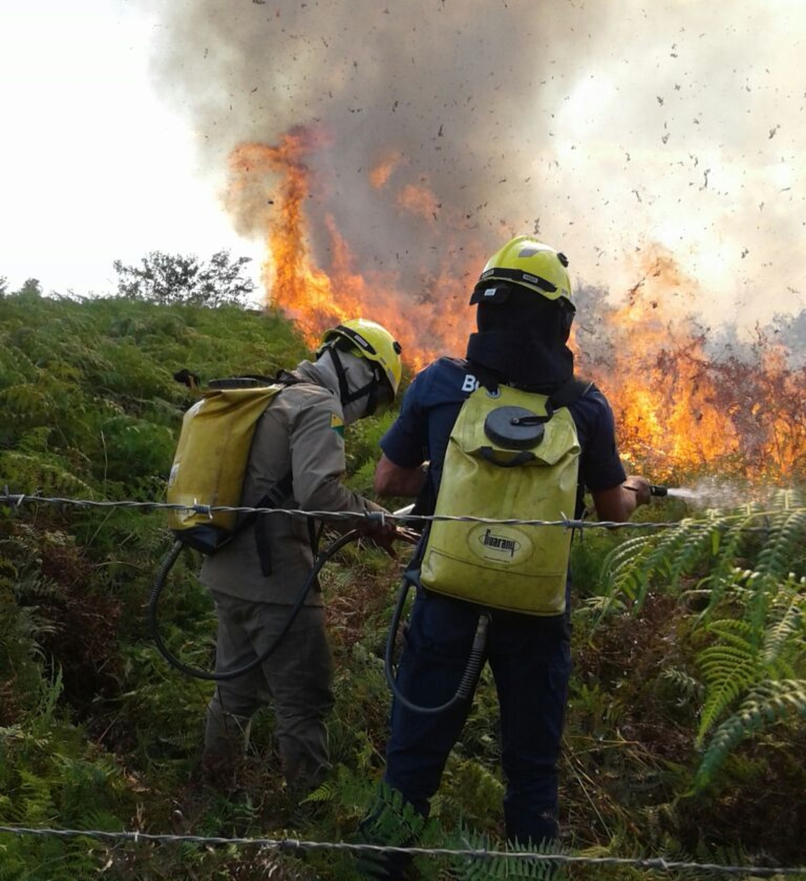 CZS: incêndio próximo ao aeroporto consumiu o equivalente a 10 campos de futebol