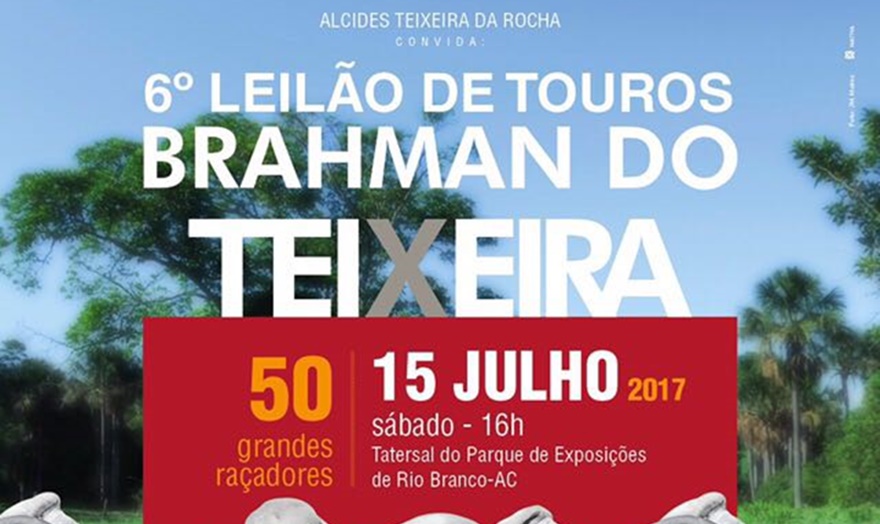 Cruzamento produtivo: pecuarista promove 6º leilão de touros Brahman no Parque de Exposições