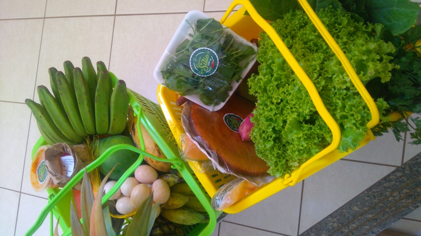 Família investe na agricultura familiar e vende produtos orgânicos através das redes sociais