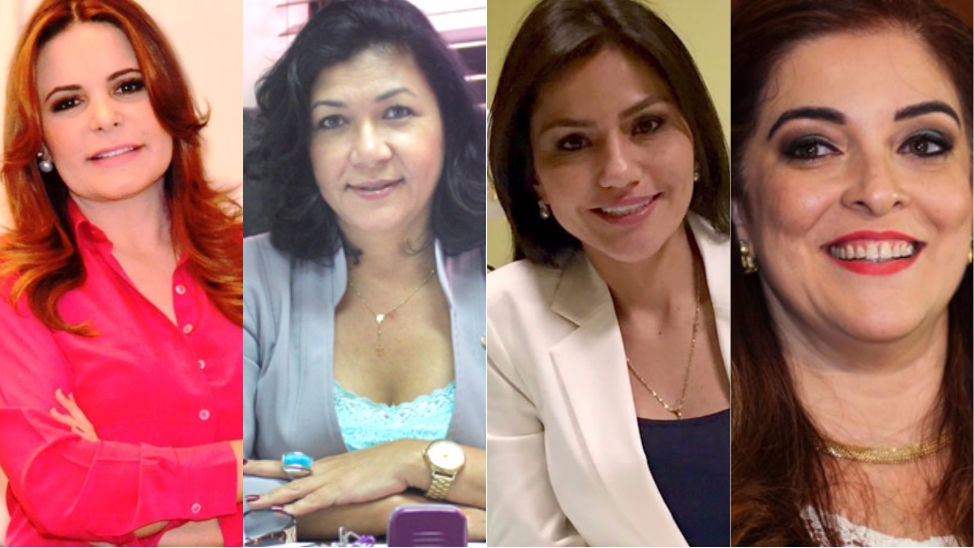 Pimenta: “Mulheres devem vir com força redobrada nas próximas eleições em 2018”