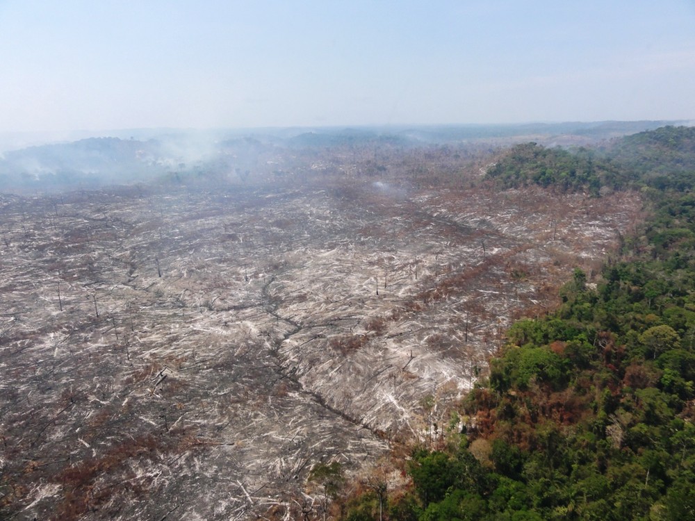 Desmatamento no Acre cai em 32% no período de um ano, diz pesquisa do Imazon