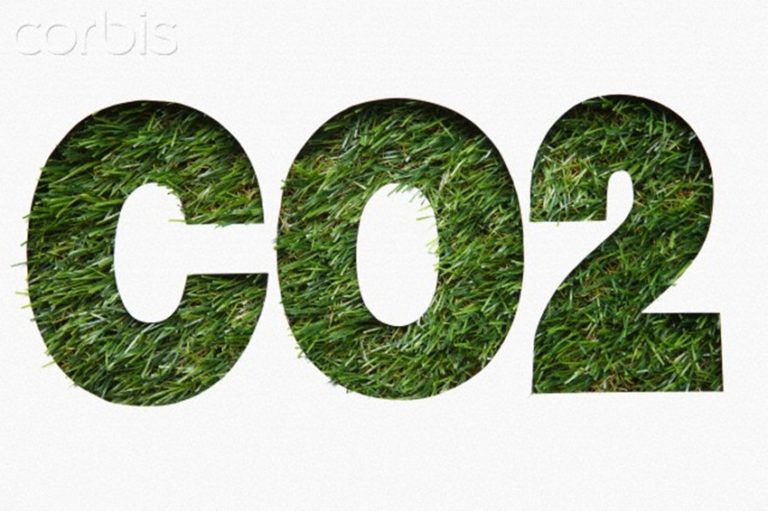 Sequestro bom é sequestro de carbono