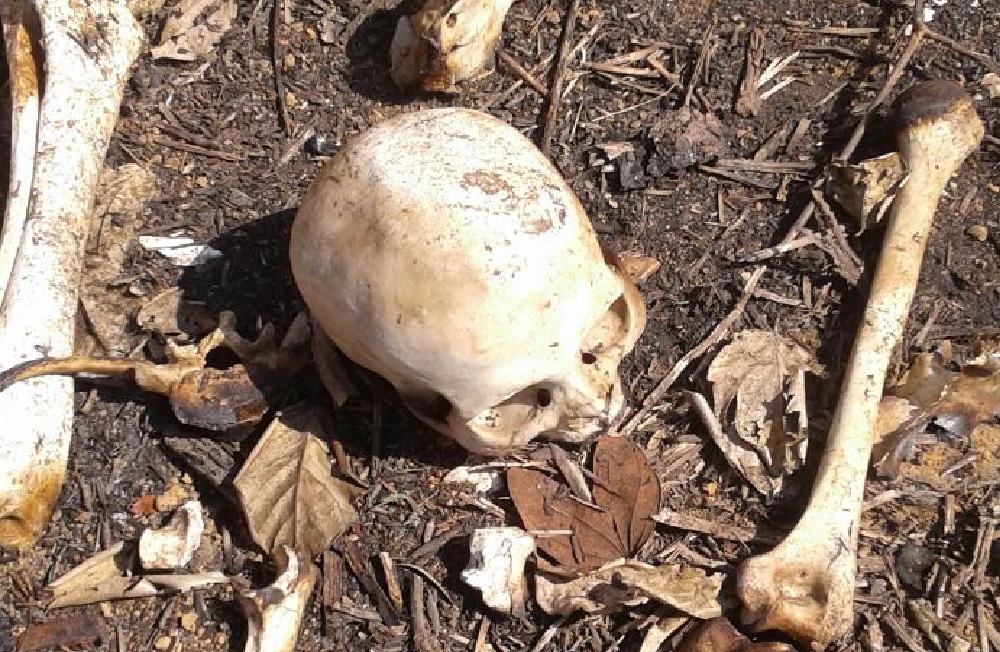 Populares descobrem ossada humana enterrada na região de Porto Acre