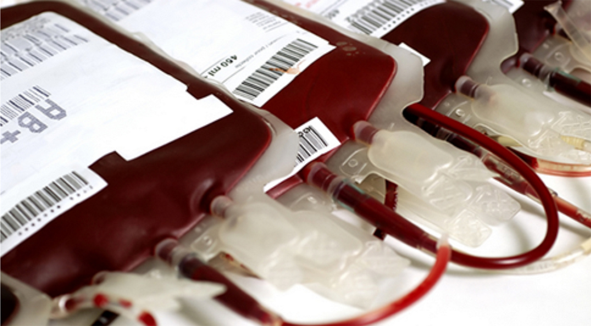 Esteve no Acre, foi para o Sudeste e quer doar sangue? Você deve esperar um ano; saiba o motivo