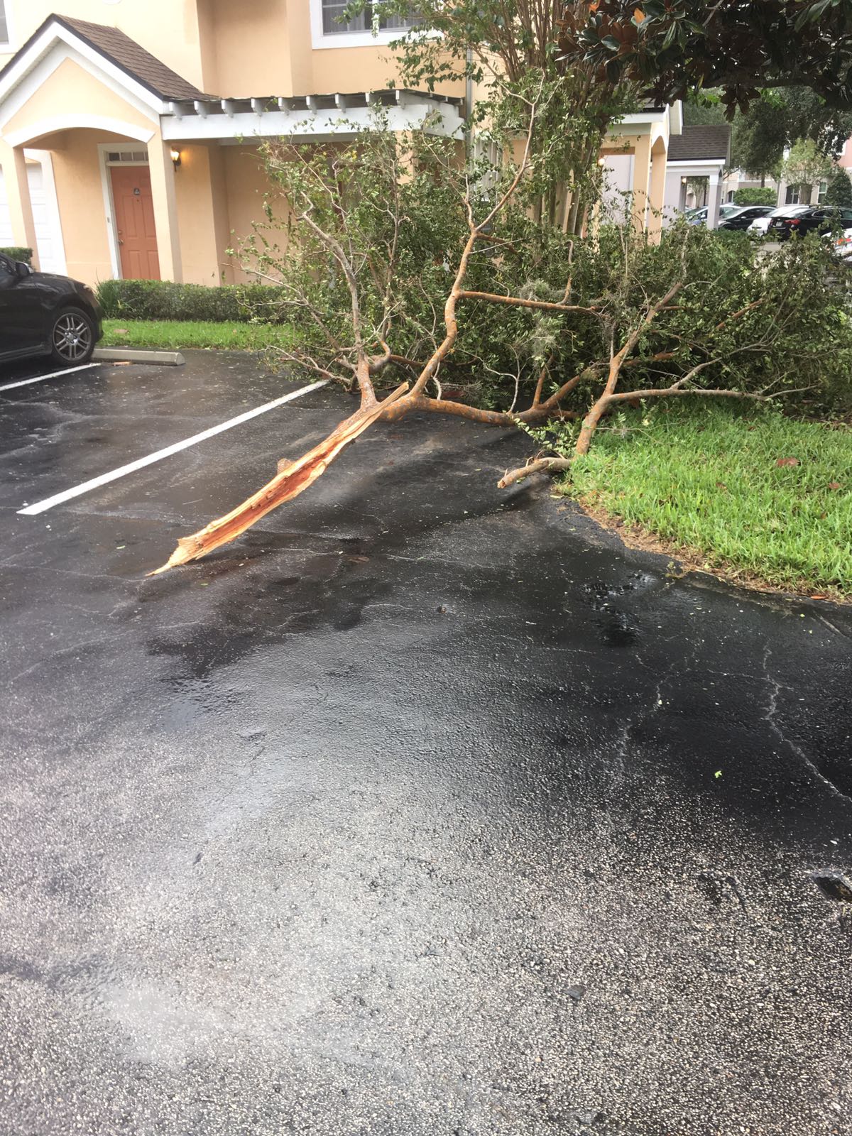 Acreana que mora nos EUA relata preocupação com amigos que enfrentaram o poderoso furacão Irma