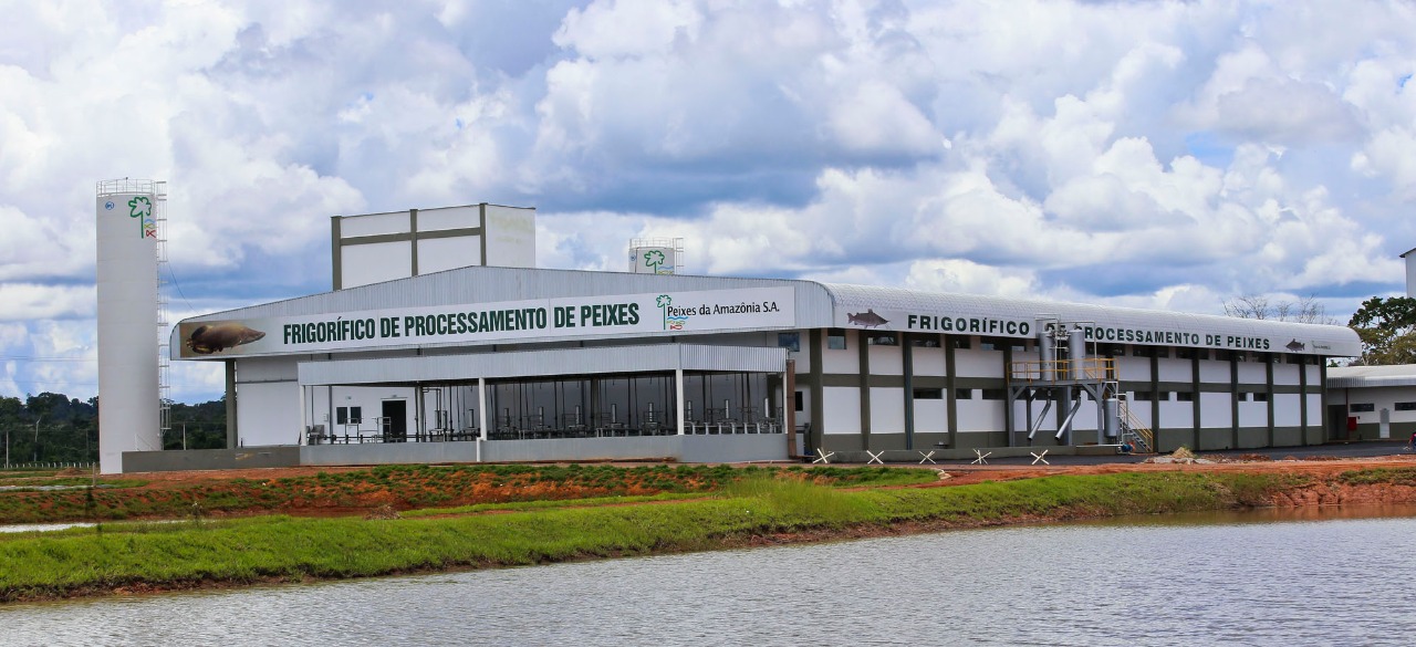 Advogado diz que a Peixes da Amazônia deu calote em fornecedores