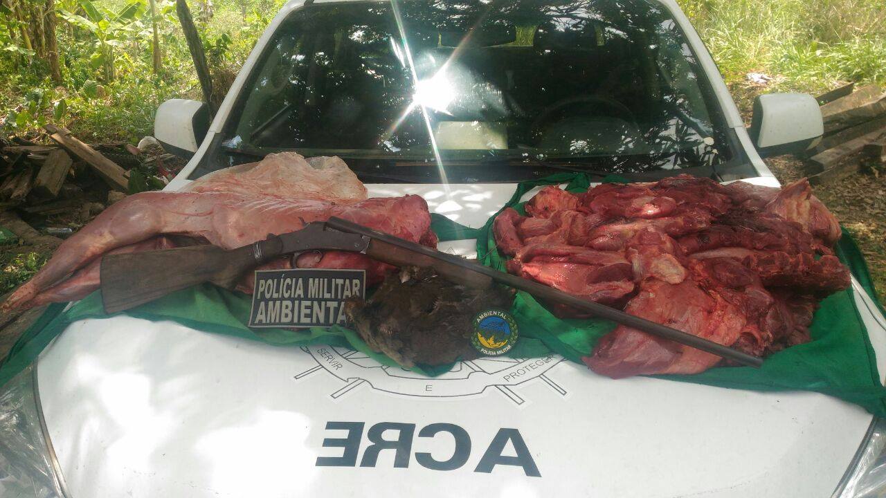 Batalhão Ambiental apreende arma de fogo e mais de 30 kg de carnes de animais silvestres