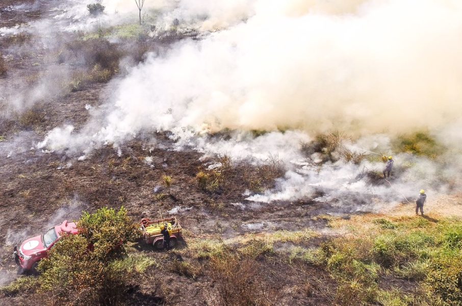 Acre registra quase 500 focos de calor nos primeiros cinco dias de outubro