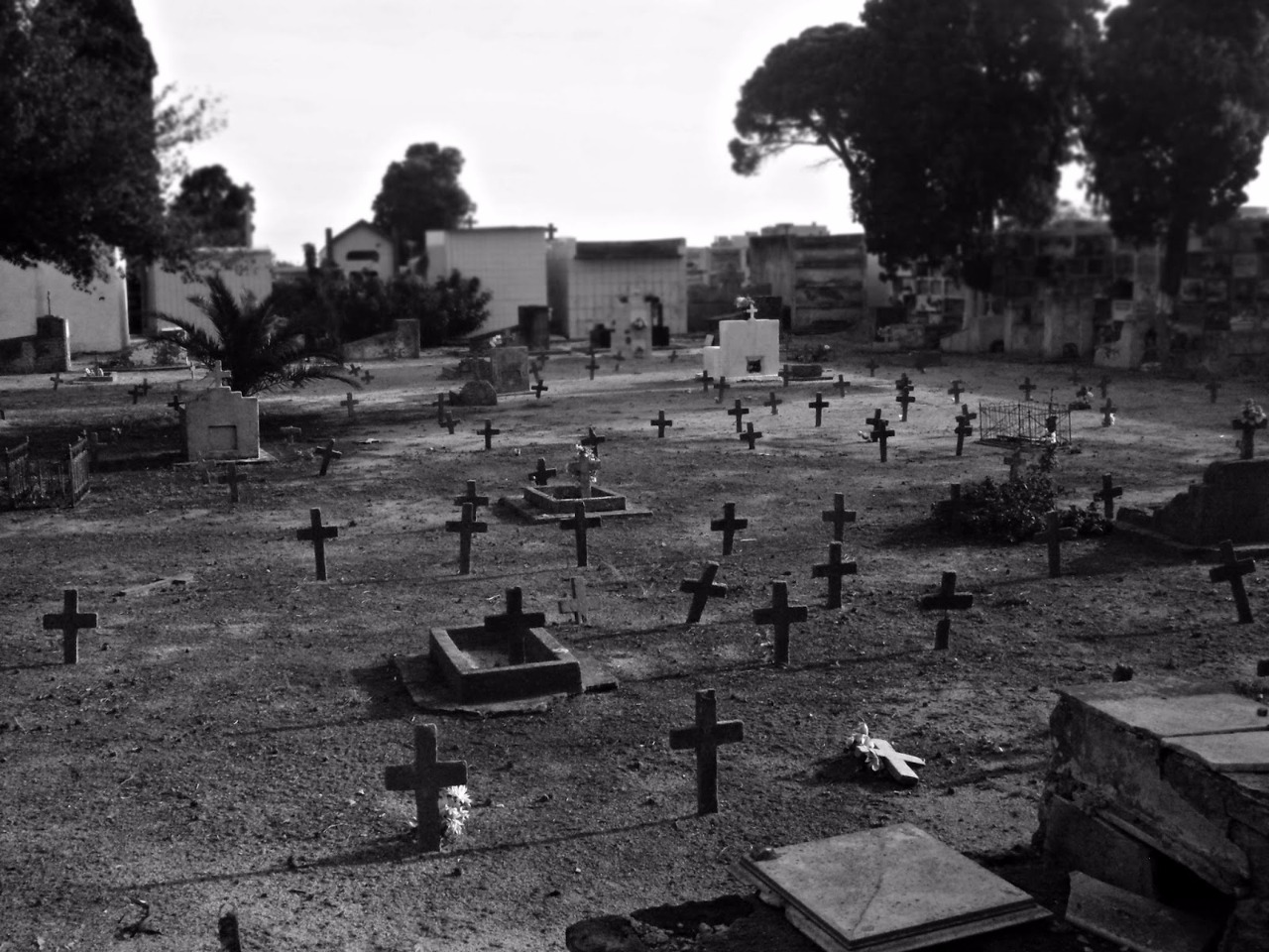 o Brasil registrou mais vítimas de mortes violentas intencionais que a Guerra da Síria