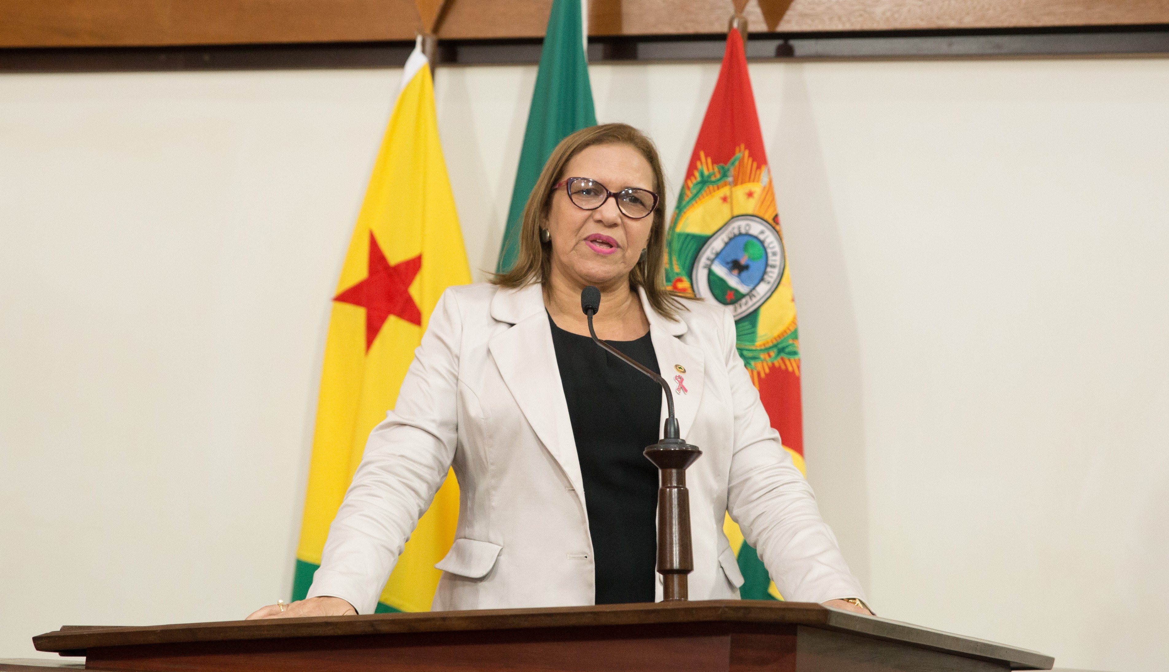 Deputada Doutora Juliana apresenta projeto de prevenção para idosos