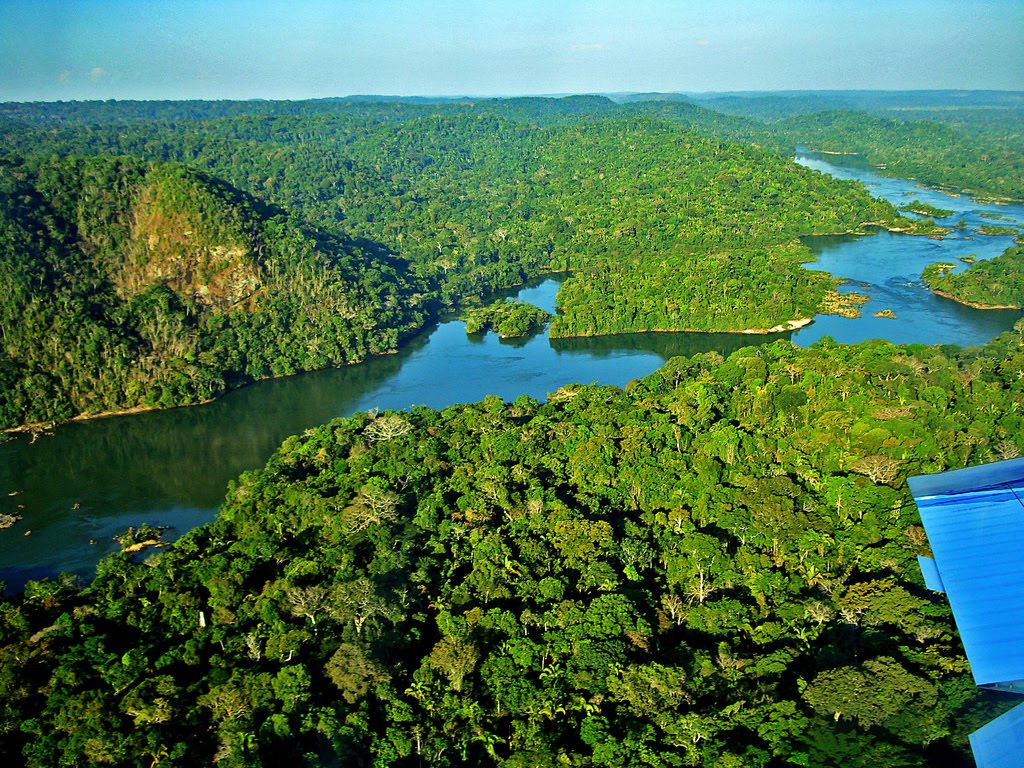 Psiquiatra compara a história da Amazônia à do Brasil