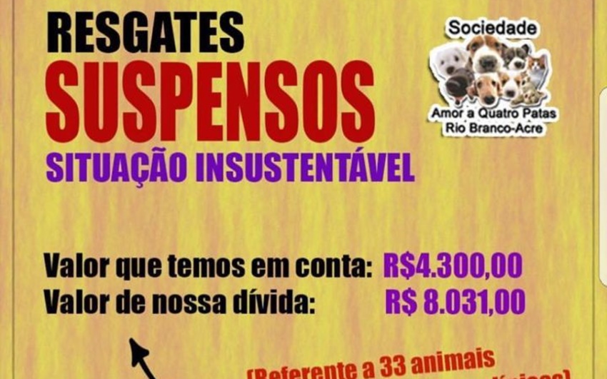 Sociedade Amor Quatro Patas faz campanha e pede ajuda para quitar dívida de R$ 4 mil