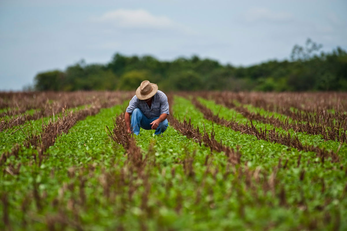 Prazo para renegociação de dívidas rurais da região Amazônica encerra em 60 dias