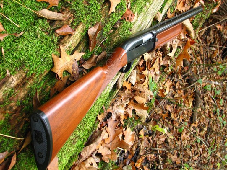 Briga entre família: após desentendimento, tio atira no rosto do próprio sobrinho