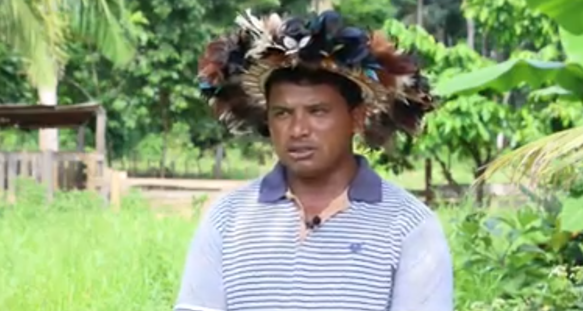 Cooperativa agrícola de aldeia indígena desafia esquemas mafiosos na Amazônia