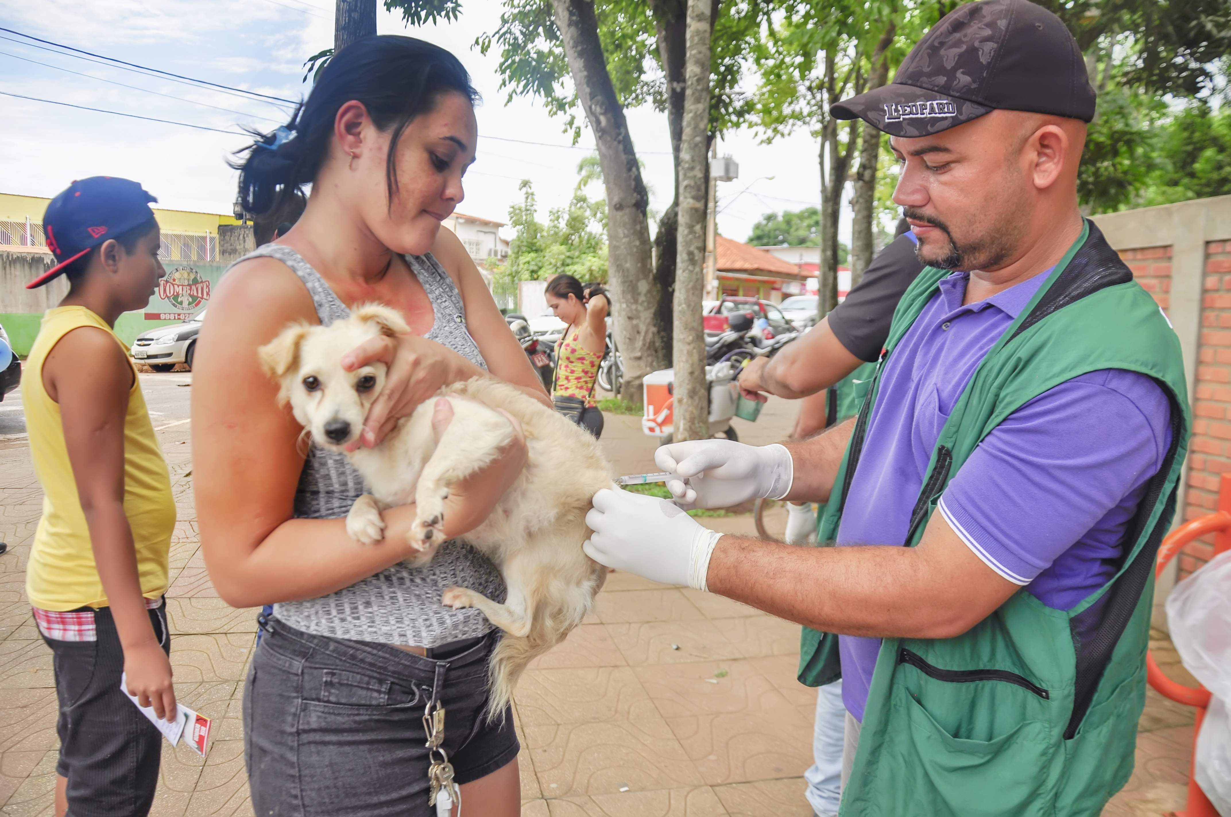 Secretaria de Saúde promove campanha de vacinação de cães e gatos na Baixada