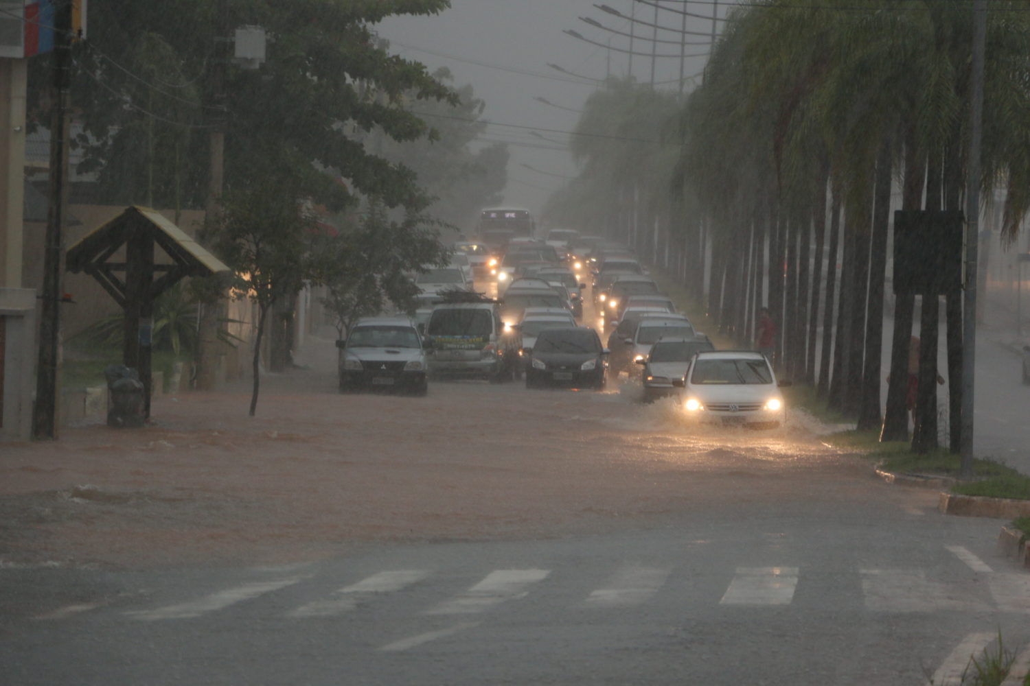 Quinta-feira: chuvas a qualquer hora e tempo quente e abafado, decreta Friale